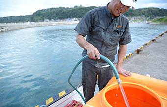 日本海から海水を汲みあげます