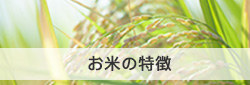 お米の特徴